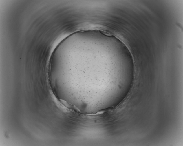 X0000099971152200806061624