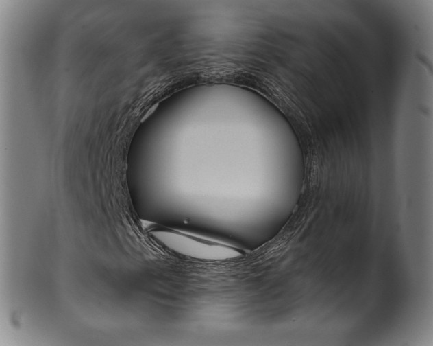 X0000099971153200806061623