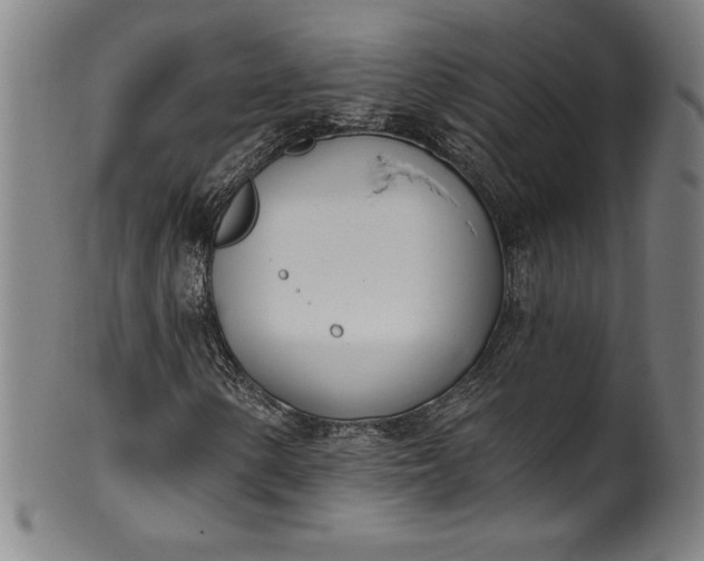 X0000099971154200806061623