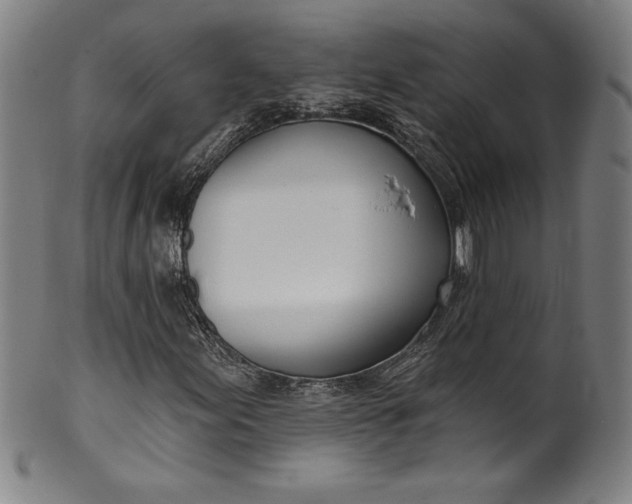 X0000099971155200806061623