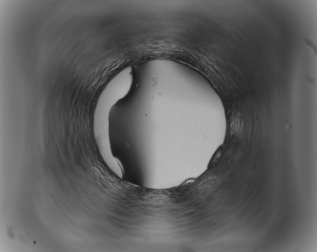 X0000099971156200806061623