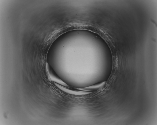 X0000099971157200806061623