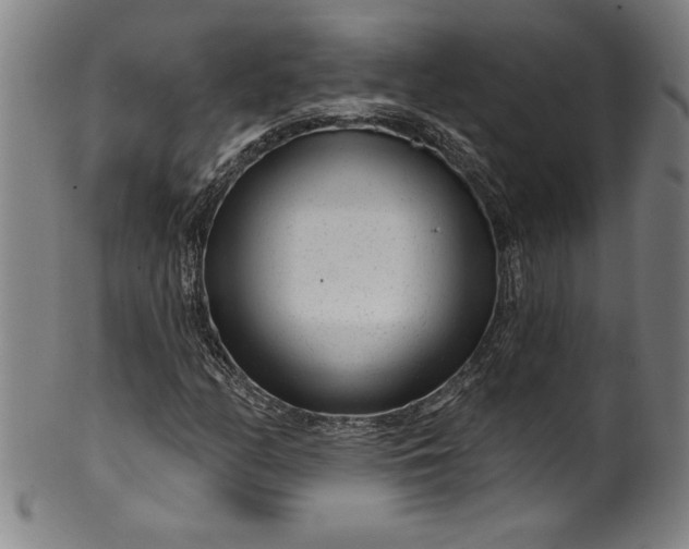 X0000099971158200806061623