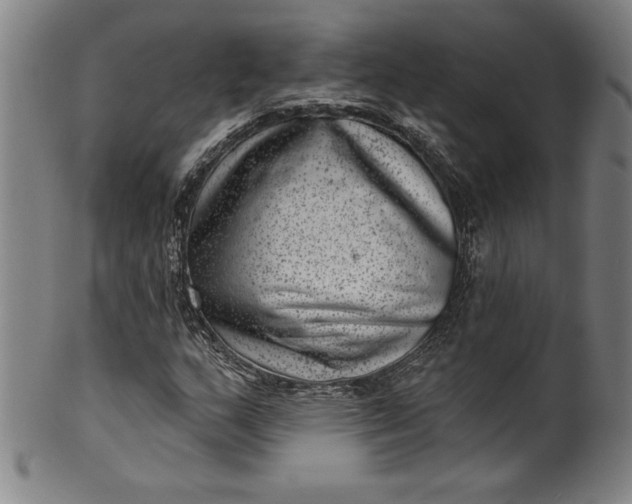 X0000099971159200806061623