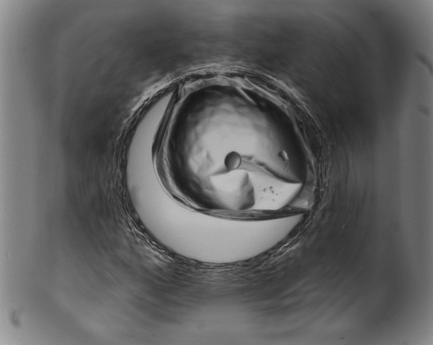 X0000099971160200806061623