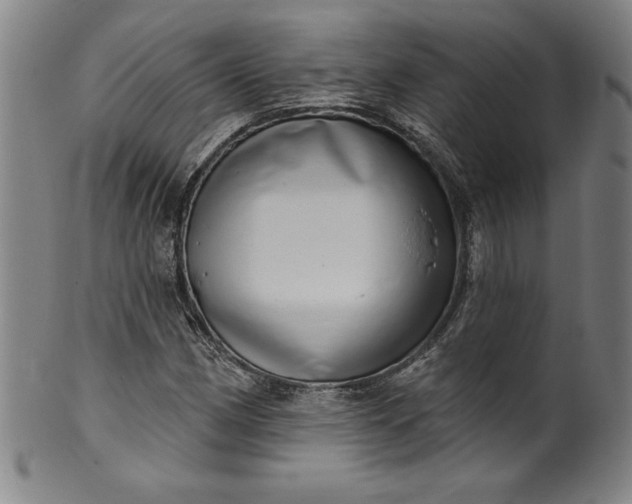 X0000099971162200806061623