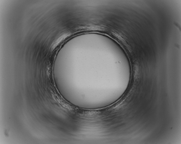 X0000099971163200806061623