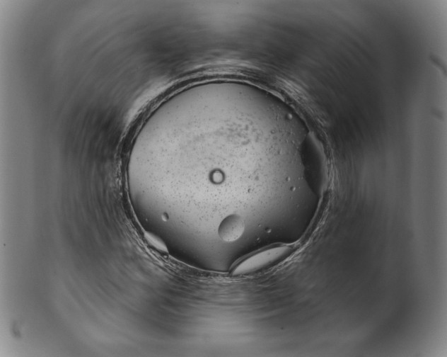 X0000099971164200806061623