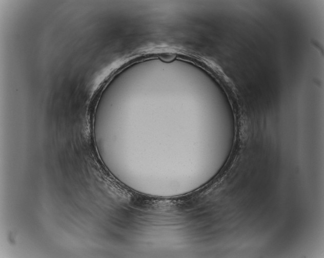 X0000099971167200806061623