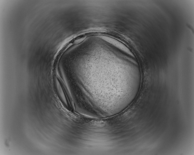 X0000099971168200806061623