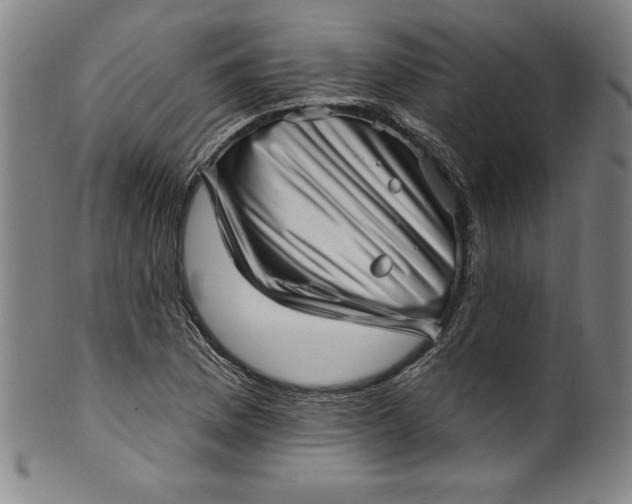 X0000099971169200806061623