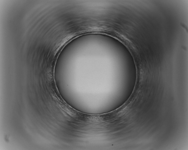 X0000099971170200806061623