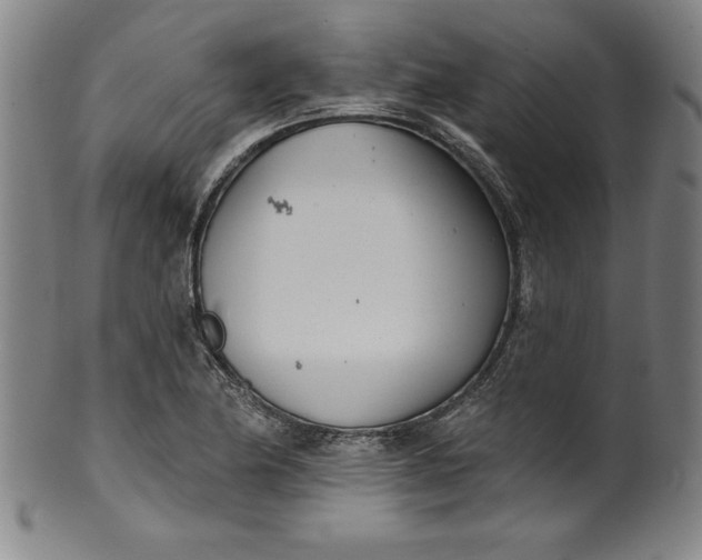 X0000099971174200806061623