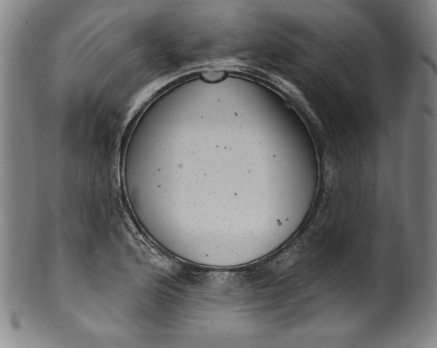 X0000099971176200806061623