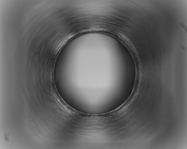 X0000099971177200806061623