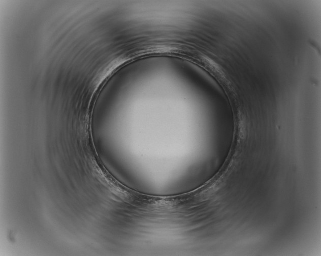 X0000099971178200806061623