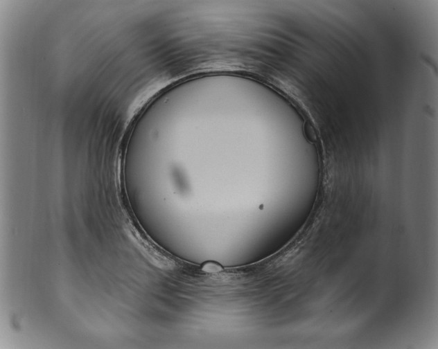 X0000099971179200806061622