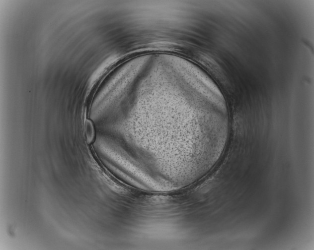 X0000099971180200806061622