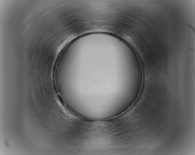 X0000099971181200806061622