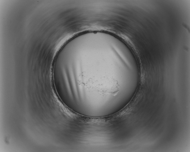 X0000099971183200806061622