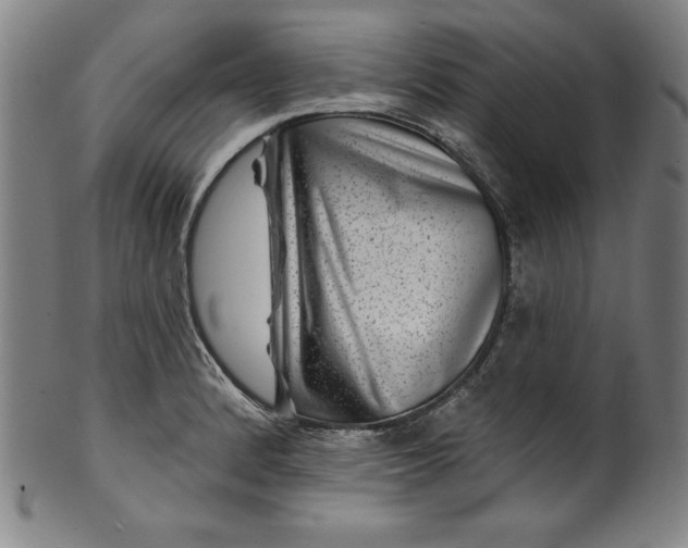 X0000099971184200806061622