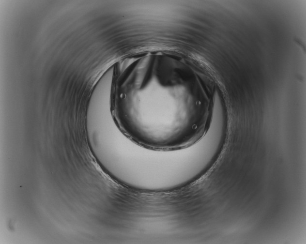 X0000099971185200806061622