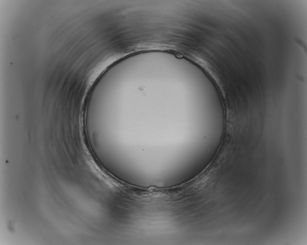 X0000099971187200806061622