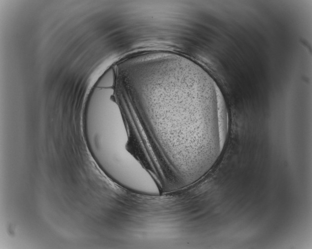 X0000099971188200806061622