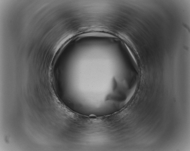 X0000099971190200806061622