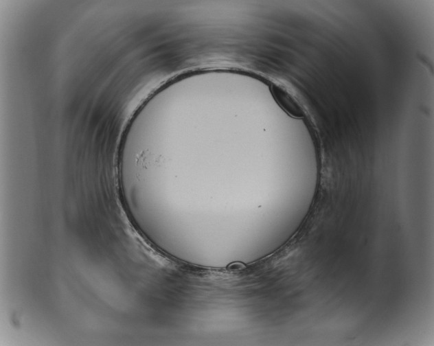 X0000099971191200806061622