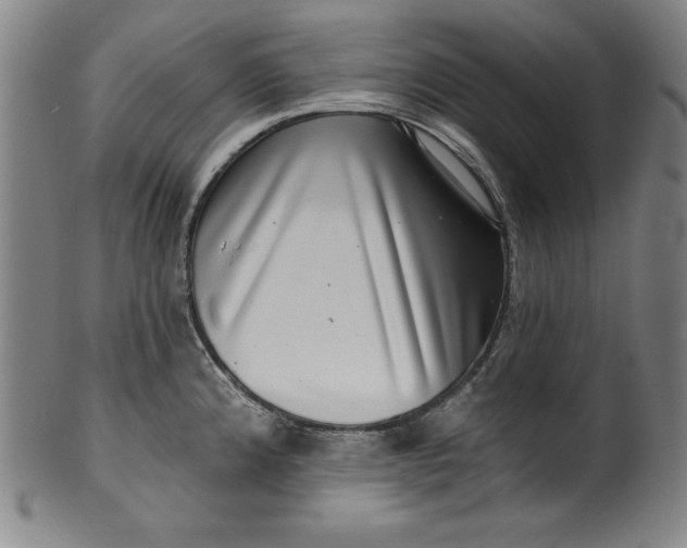 X0000099971192200806061622