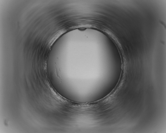 X0000099971193200806061622