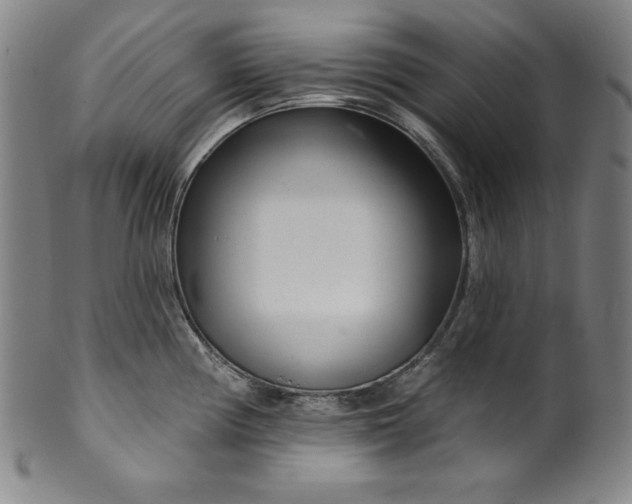 X0000099971194200806061622