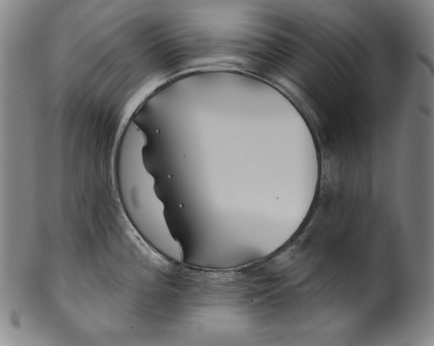 X0000099971196200806061622