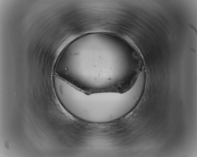 X0000099971197200806061622