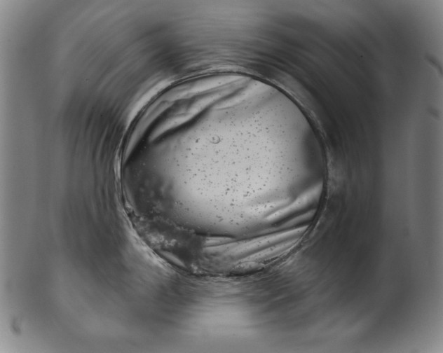 X0000099971198200806061622