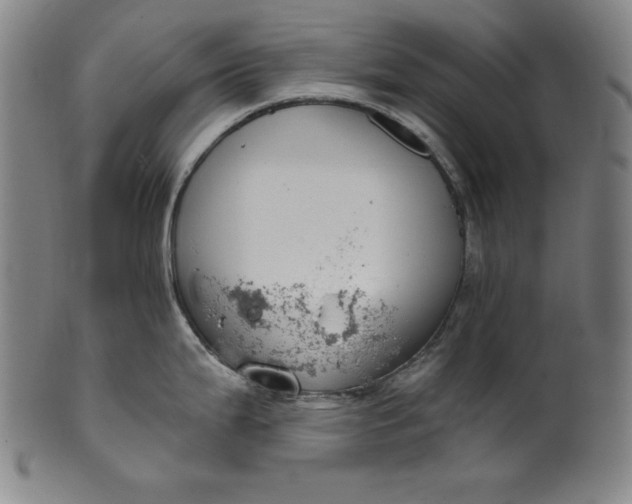 X0000099971199200806061622