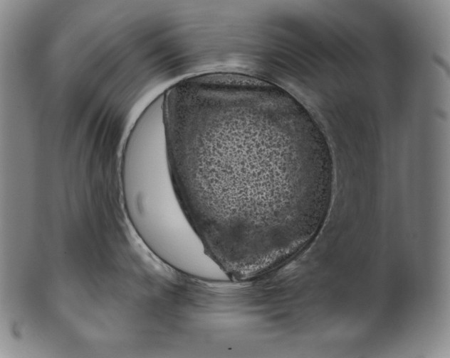 X0000099971200200806061622