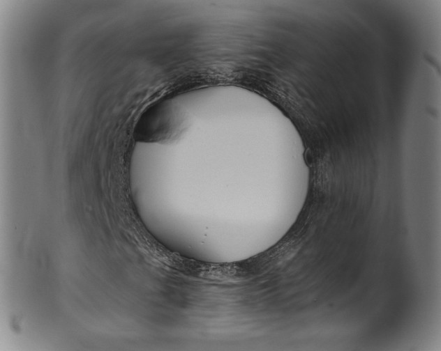 X0000099971201200806061621