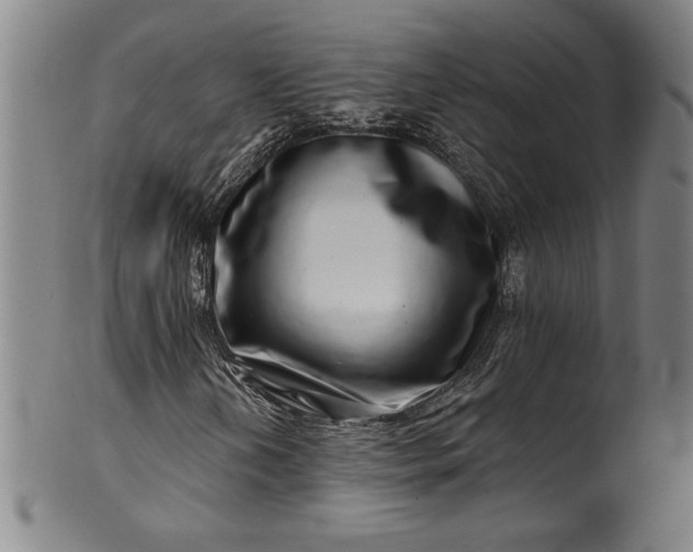 X0000099971202200806061621