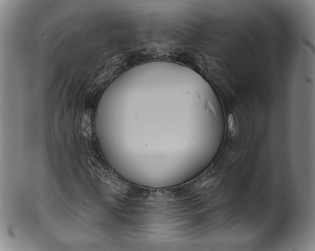 X0000099971203200806061621