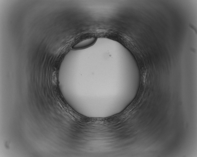 X0000099971204200806061621