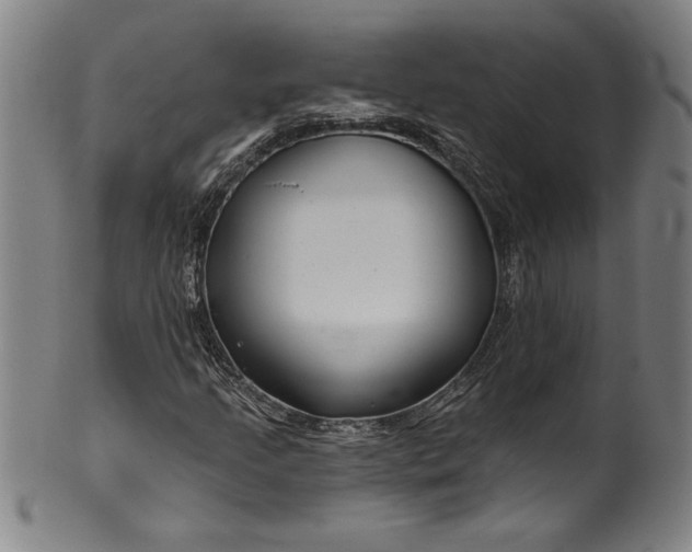 X0000099971205200806061621