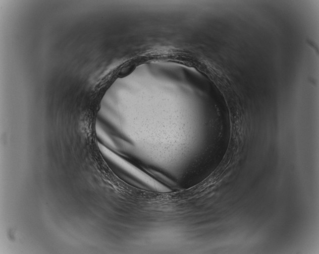 X0000099971206200806061622