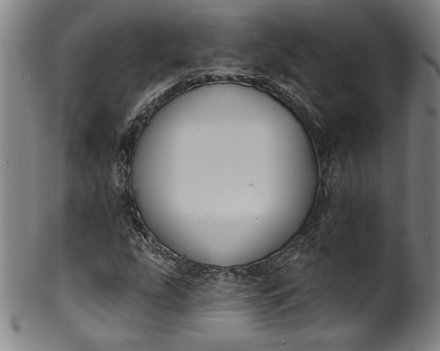 X0000099971207200806061622