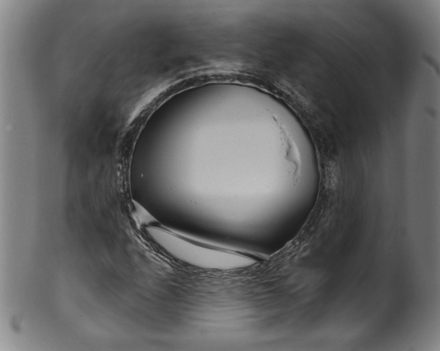 X0000099971208200806061622