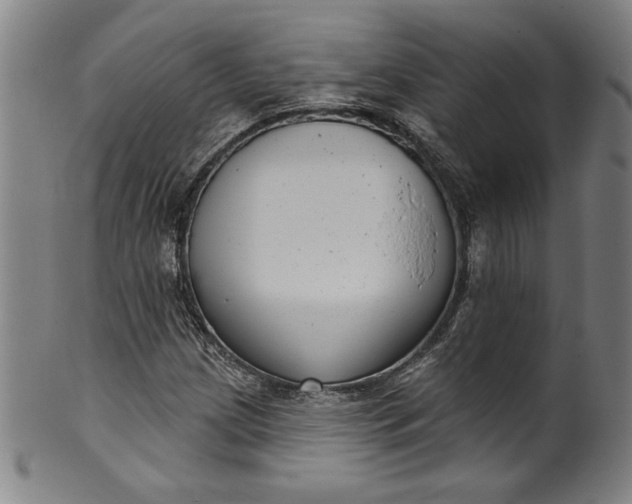 X0000099971209200806061622