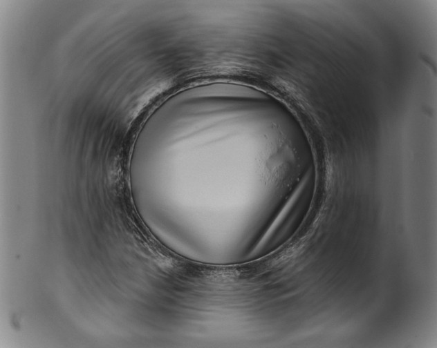 X0000099971210200806061622