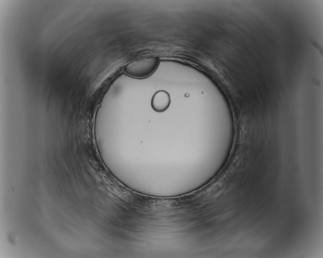 X0000099971211200806061622