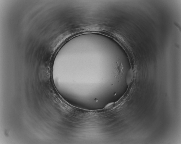 X0000099971212200806061622